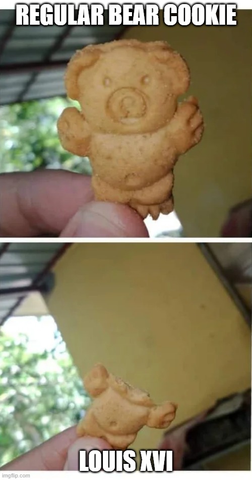 Comparisons | REGULAR BEAR COOKIE; LOUIS XVI | image tagged in history memes | made w/ Imgflip meme maker