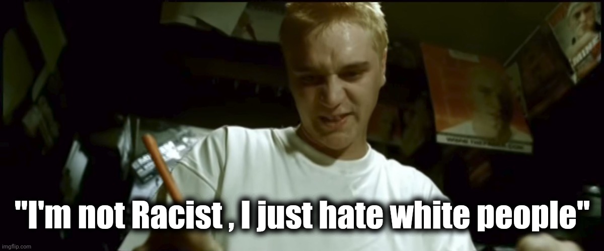 Stan Eminem | "I'm not Racist , I just hate white people" | image tagged in stan eminem | made w/ Imgflip meme maker