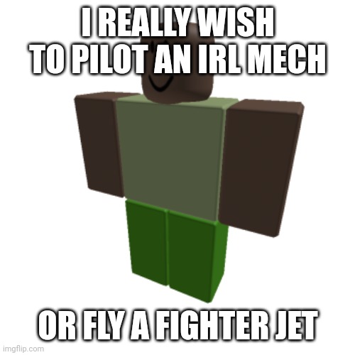 But I'm too young and stupid | I REALLY WISH TO PILOT AN IRL MECH; OR FLY A FIGHTER JET | image tagged in roblox oc | made w/ Imgflip meme maker