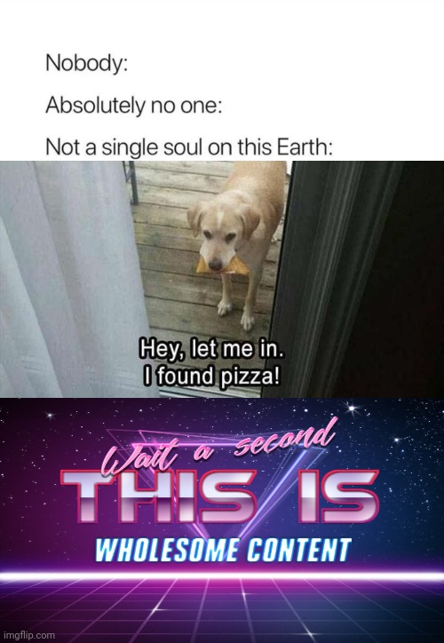 If dogs found a spare for people... | image tagged in nobody absolutely no one,memes,funny,wait a second this is wholesome content,dogs,pizza time | made w/ Imgflip meme maker