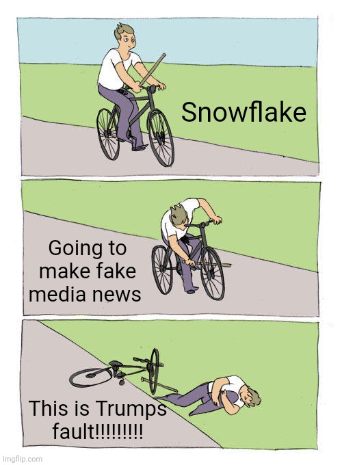 Bike Fall | Snowflake; Going to make fake media news; This is Trumps fault!!!!!!!!! | image tagged in memes,bike fall | made w/ Imgflip meme maker