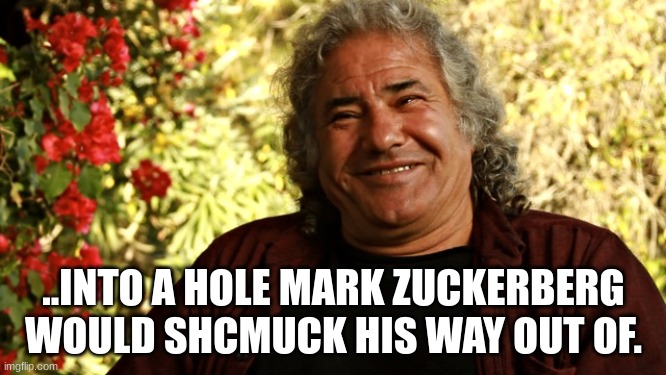 ..INTO A HOLE MARK ZUCKERBERG WOULD SCHMUCK HIS WAY OUT OF. | made w/ Imgflip meme maker