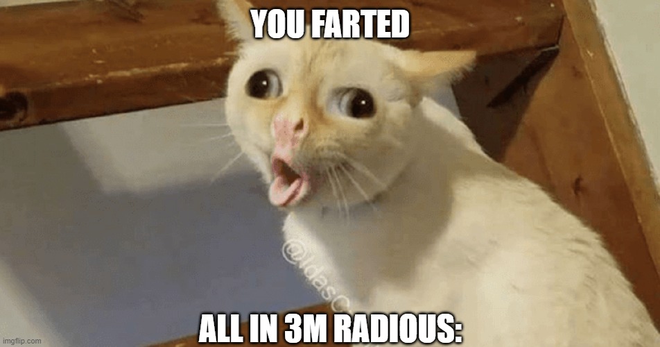 when you farted... | YOU FARTED; ALL IN 3M RADIOUS: | image tagged in kot | made w/ Imgflip meme maker
