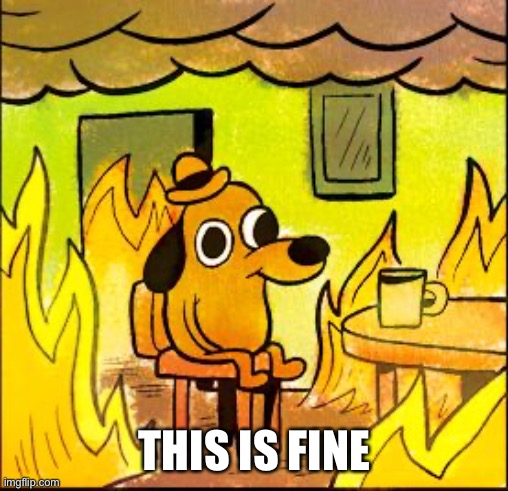 This is fine | THIS IS FINE | image tagged in this is fine | made w/ Imgflip meme maker