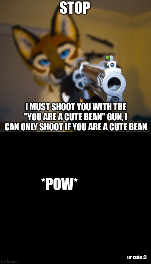 Furry with gun |  STOP; I MUST SHOOT YOU WITH THE "YOU ARE A CUTE BEAN" GUN, I CAN ONLY SHOOT IF YOU ARE A CUTE BEAN; *POW*; ur cute :3 | image tagged in furry with gun | made w/ Imgflip meme maker