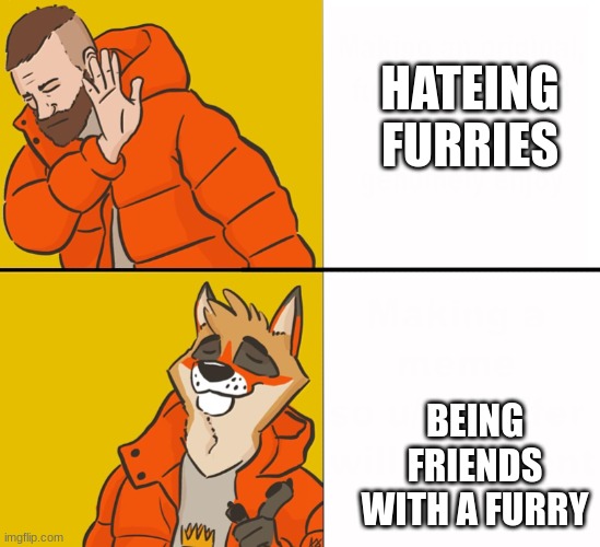 Furry Drake |  HATEING FURRIES; BEING FRIENDS WITH A FURRY | image tagged in furry drake | made w/ Imgflip meme maker
