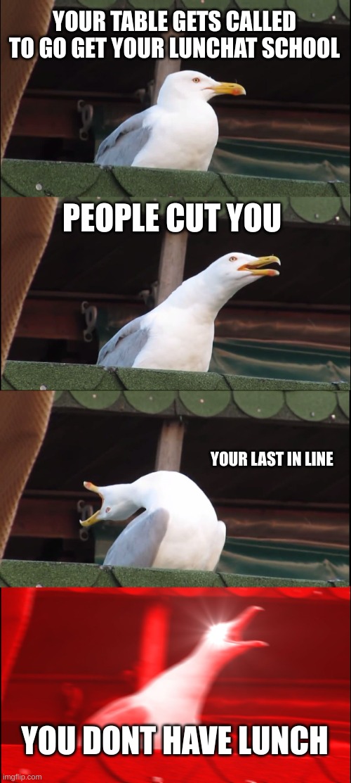 Inhaling Seagull | YOUR TABLE GETS CALLED TO GO GET YOUR LUNCHAT SCHOOL; PEOPLE CUT YOU; YOUR LAST IN LINE; YOU DONT HAVE LUNCH | image tagged in memes,inhaling seagull | made w/ Imgflip meme maker
