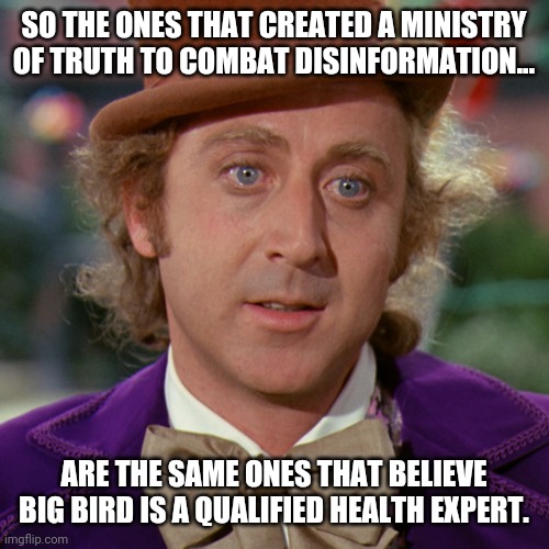 I haven't forgotten about big bird. | SO THE ONES THAT CREATED A MINISTRY OF TRUTH TO COMBAT DISINFORMATION... ARE THE SAME ONES THAT BELIEVE BIG BIRD IS A QUALIFIED HEALTH EXPERT. | image tagged in memes | made w/ Imgflip meme maker