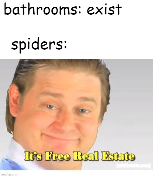 It's Free Real Estate | bathrooms: exist; spiders: | image tagged in it's free real estate | made w/ Imgflip meme maker