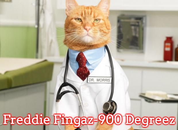 Freddie Fingaz-900 Degreez | Freddie Fingaz-900 Degreez | image tagged in cat doctor,slavic,freddie fingaz,freddie fingaz-900 degreez | made w/ Imgflip meme maker