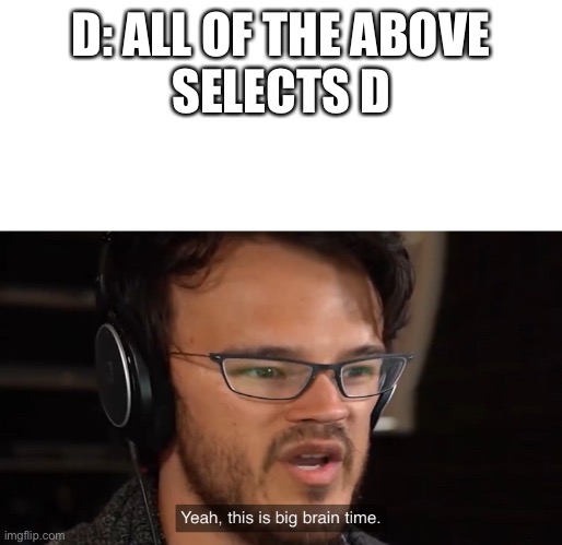 It's Big Brain Time | D: ALL OF THE ABOVE
SELECTS D | image tagged in it's big brain time | made w/ Imgflip meme maker