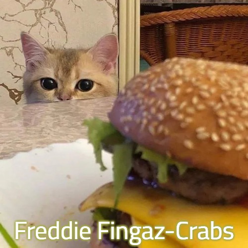 Cat burger | Freddie Fingaz-Crabs | image tagged in cat burger,slavic,freddie fingaz,crabs | made w/ Imgflip meme maker