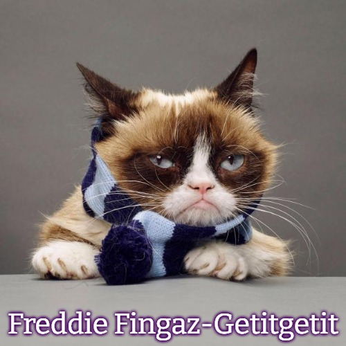 grumpy cat winter | Freddie Fingaz-Getitgetit | image tagged in grumpy cat winter,slavic,freddie fingaz,getitgetit | made w/ Imgflip meme maker