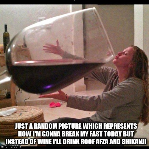 Wine Drinker | JUST A RANDOM PICTURE WHICH REPRESENTS HOW I'M GONNA BREAK MY FAST TODAY BUT INSTEAD OF WINE I'LL DRINK ROOF AFZA AND SHIKANJI | image tagged in wine drinker | made w/ Imgflip meme maker