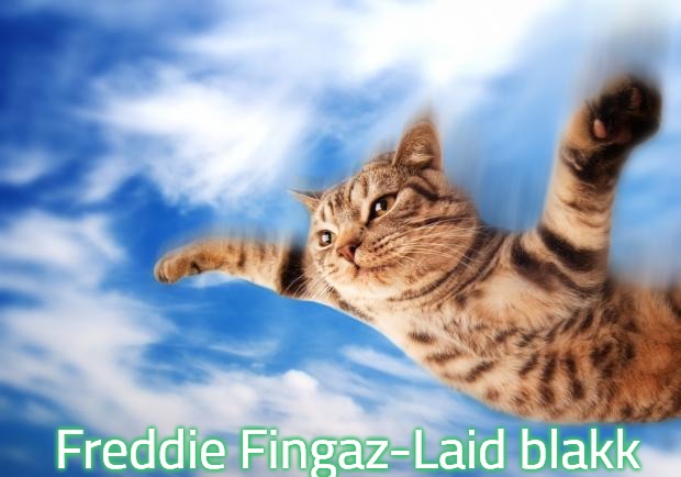Flying-cat | Freddie Fingaz-Laid blakk | image tagged in flying-cat,slavic,freddie fingaz,freddie fingaz-laid blakk | made w/ Imgflip meme maker