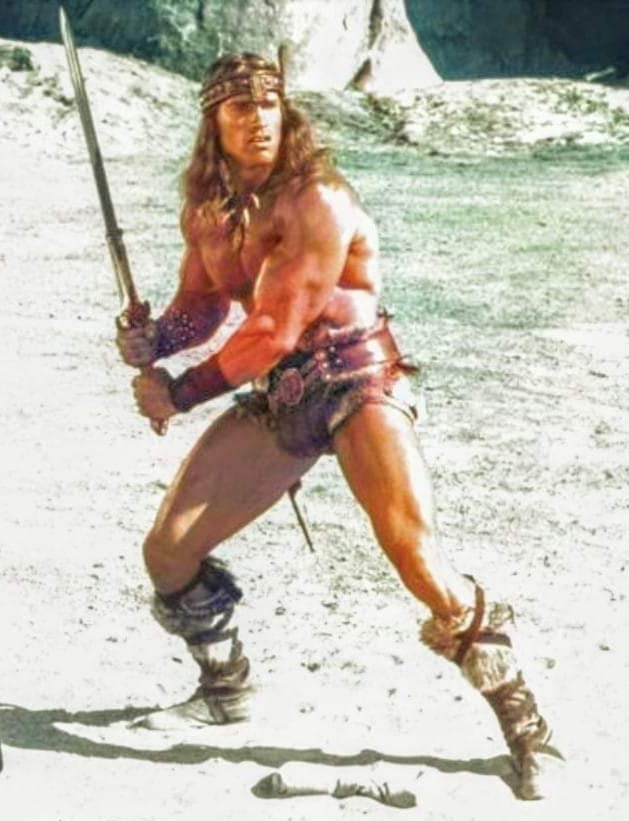 Conan the Destroyer  sword Arnold Blank Meme Template