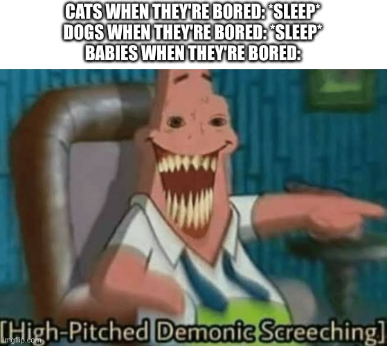 High-Pitched Demonic Screeching | CATS WHEN THEY'RE BORED: *SLEEP*
DOGS WHEN THEY'RE BORED: *SLEEP*
BABIES WHEN THEY'RE BORED: | image tagged in high-pitched demonic screeching,but why tho | made w/ Imgflip meme maker