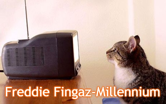 cat watching tv | Freddie Fingaz-Millennium | image tagged in cat watching tv,slavic,freddie fingaz,millennial | made w/ Imgflip meme maker