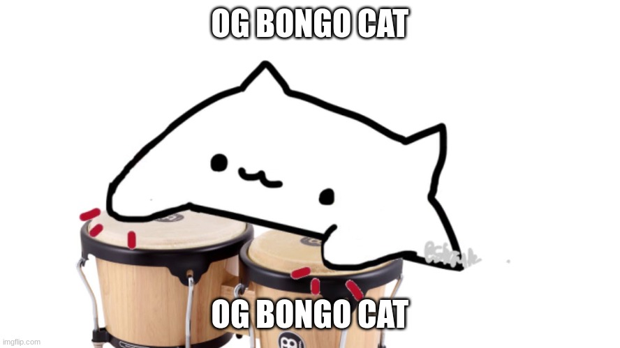 Bongo Cat | OG BONGO CAT OG BONGO CAT | image tagged in bongo cat | made w/ Imgflip meme maker