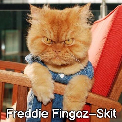 Garfi The Angry Cat | Freddie Fingaz–Skit | image tagged in garfi the angry cat,freddie fingaz,freddie fingaz-skit,slavic | made w/ Imgflip meme maker