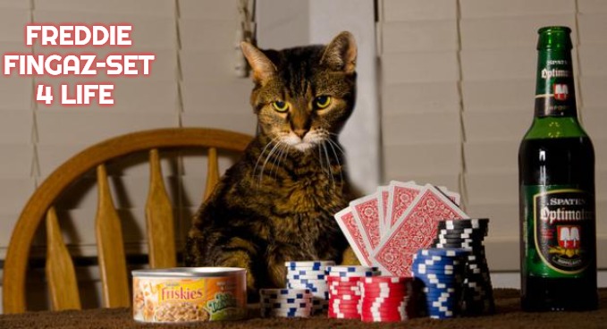 Poker Cat | FREDDIE FINGAZ–SET 4 LIFE | image tagged in poker cat,freddie fingaz,slavic | made w/ Imgflip meme maker