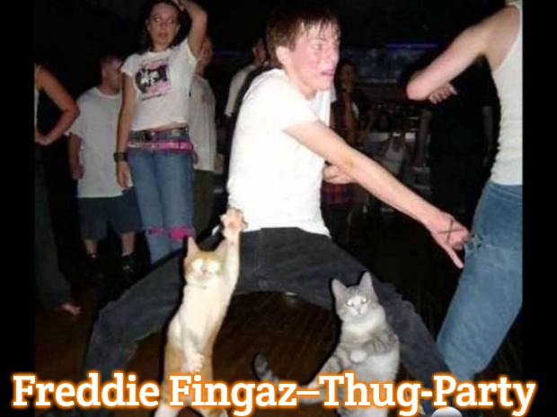 Party hard cat | Freddie Fingaz–Thug-Party | image tagged in party hard cat,slavic,freddie fingaz-thug party,freddie fingaz | made w/ Imgflip meme maker