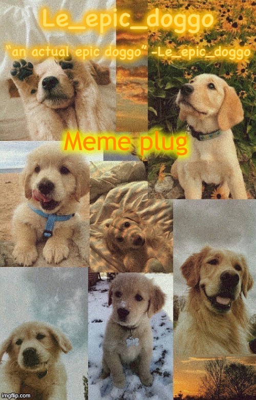 Doggo temp by doggo. Wait what that’s confusing | Meme plug | image tagged in doggo temp by doggo wait what that s confusing | made w/ Imgflip meme maker