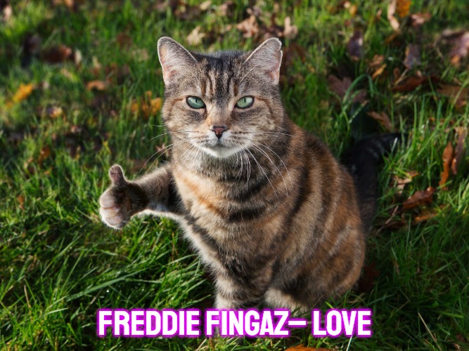 THUMBS UP CAT | Freddie Fingaz–	Love | image tagged in thumbs up cat,slavic,freddie fingaz,freddie fingaz-love,millennial renaissance,love | made w/ Imgflip meme maker