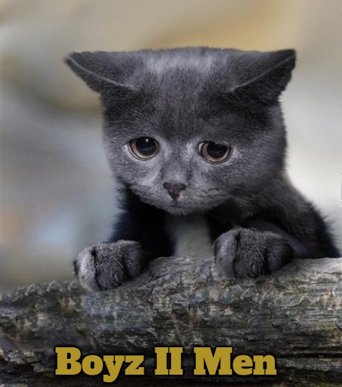 Confession Cat | Boyz II Men | image tagged in confession cat,freddie fingaz,freddie fingaz-boyz ii men,slavic,boyz ii men | made w/ Imgflip meme maker