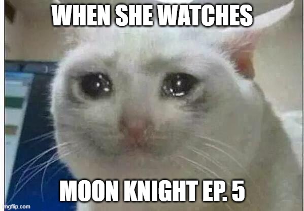 when she watches moon knight | WHEN SHE WATCHES; MOON KNIGHT EP. 5 | image tagged in crying cat,moon knight | made w/ Imgflip meme maker