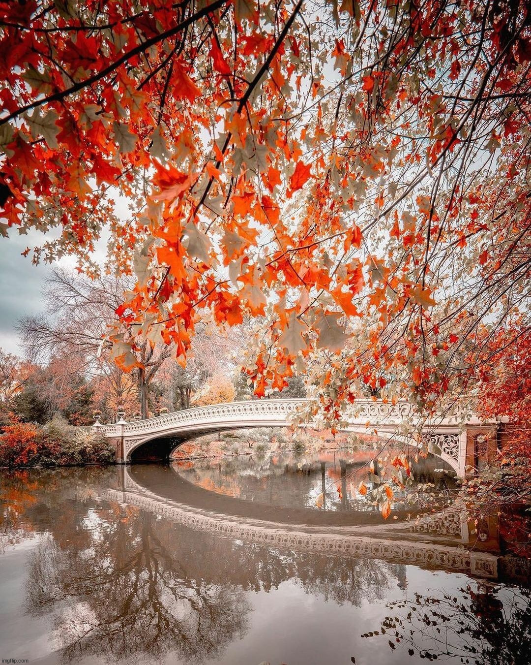 image tagged in awesome | made w/ Imgflip meme maker