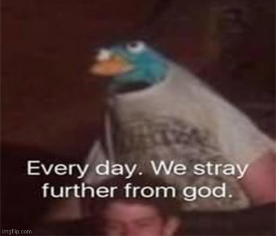 Cursed perry | image tagged in cursed perry | made w/ Imgflip meme maker