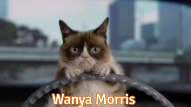 Wanya Morris | Wanya Morris | image tagged in grumpy cat driving | made w/ Imgflip meme maker