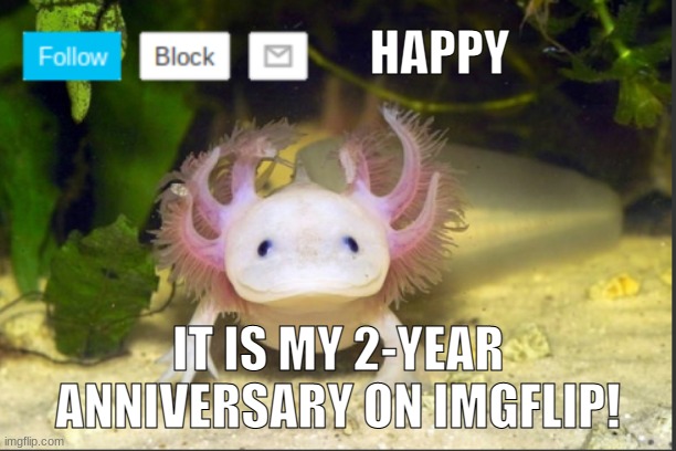 LETS CELEBRATE (maybe) | HAPPY; IT IS MY 2-YEAR ANNIVERSARY ON IMGFLIP! | image tagged in axolotldudes announcement template | made w/ Imgflip meme maker