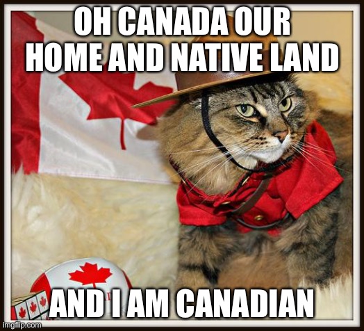 Canada Cat | OH CANADA OUR HOME AND NATIVE LAND AND I AM CANADIAN | image tagged in canada cat | made w/ Imgflip meme maker