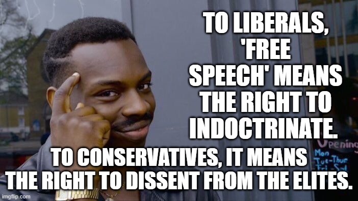 A major difference between leftists and conservatives. | TO LIBERALS, 'FREE SPEECH' MEANS THE RIGHT TO INDOCTRINATE. TO CONSERVATIVES, IT MEANS THE RIGHT TO DISSENT FROM THE ELITES. | image tagged in roll safe think about it | made w/ Imgflip meme maker