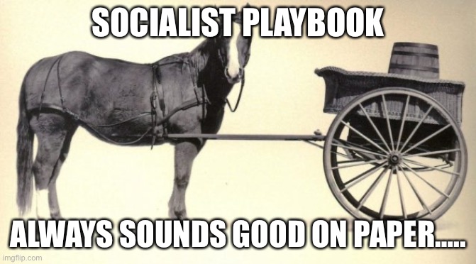 the cart before the horse | SOCIALIST PLAYBOOK ALWAYS SOUNDS GOOD ON PAPER….. | image tagged in the cart before the horse | made w/ Imgflip meme maker