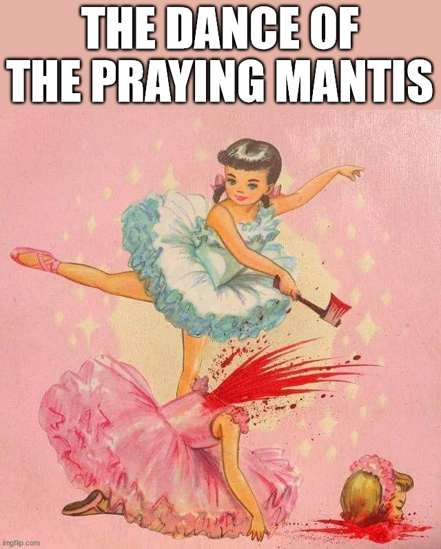 THE DANCE OF THE PRAYING MANTIS | image tagged in gross | made w/ Imgflip meme maker