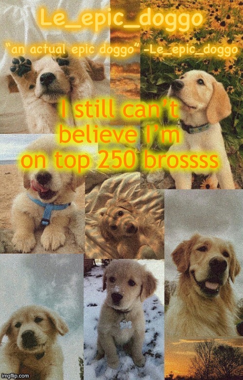Doggo temp by doggo. Wait what that’s confusing | I still can’t believe I’m on top 250 brossss | image tagged in doggo temp by doggo wait what that s confusing | made w/ Imgflip meme maker