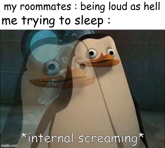 I fear this in collage or high school | my roommates : being loud as hell; me trying to sleep : | image tagged in private internal screaming | made w/ Imgflip meme maker