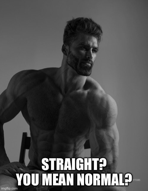 Giga Chad | STRAIGHT? YOU MEAN NORMAL? | image tagged in giga chad | made w/ Imgflip meme maker