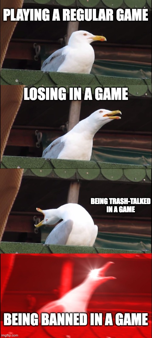 When a Seagull starts gaming | PLAYING A REGULAR GAME; LOSING IN A GAME; BEING TRASH-TALKED IN A GAME; BEING BANNED IN A GAME | image tagged in memes,inhaling seagull | made w/ Imgflip meme maker