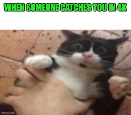 Run | WHEN SOMEONE CATCHES YOU IN 4K | image tagged in run | made w/ Imgflip meme maker