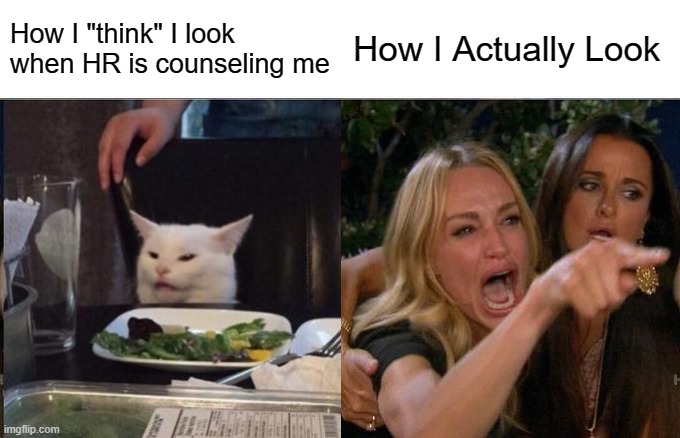 HR freak out | How I "think" I look when HR is counseling me; How I Actually Look | image tagged in hr | made w/ Imgflip meme maker
