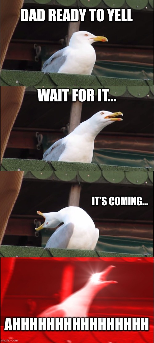 Inhaling Seagull Meme | DAD READY TO YELL; WAIT FOR IT... IT'S COMING... AHHHHHHHHHHHHHHHH | image tagged in memes,inhaling seagull | made w/ Imgflip meme maker