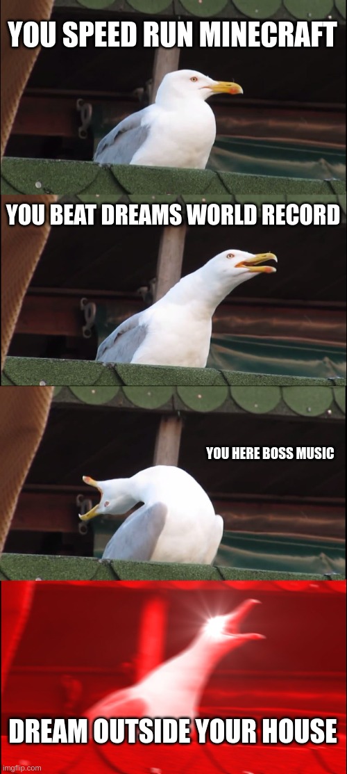 Inhaling Seagull | YOU SPEED RUN MINECRAFT; YOU BEAT DREAMS WORLD RECORD; YOU HERE BOSS MUSIC; DREAM OUTSIDE YOUR HOUSE | image tagged in memes,inhaling seagull | made w/ Imgflip meme maker