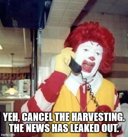 Ronald McDonald Temp | YEH, CANCEL THE HARVESTING.
THE NEWS HAS LEAKED OUT. | image tagged in ronald mcdonald temp | made w/ Imgflip meme maker