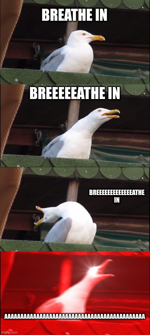 when someone tells me to breathe i and out | BREATHE IN; BREEEEEATHE IN; BREEEEEEEEEEEEEATHE IN; AAAAAAAAAAAAAAAAAAAAAAAAAAAAAAAAAAAAAAAAAAAA | image tagged in memes,breathe in and out,funni lol so funni lmao i'm dying plzz hep | made w/ Imgflip meme maker
