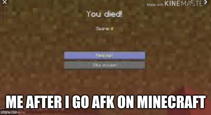 you died | ME AFTER I GO AFK ON MINECRAFT | image tagged in you died | made w/ Imgflip meme maker