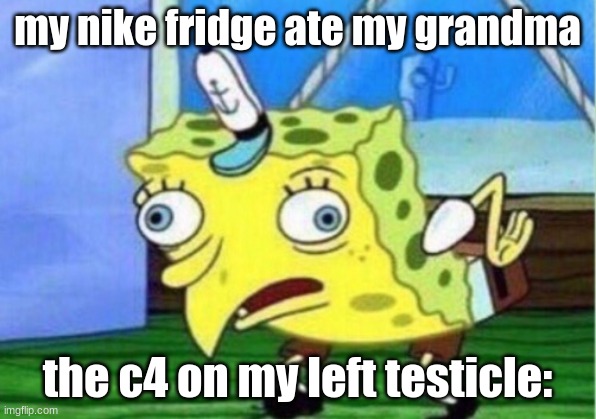 Mocking Spongebob | my nike fridge ate my grandma; the c4 on my left testicle: | image tagged in memes,mocking spongebob | made w/ Imgflip meme maker